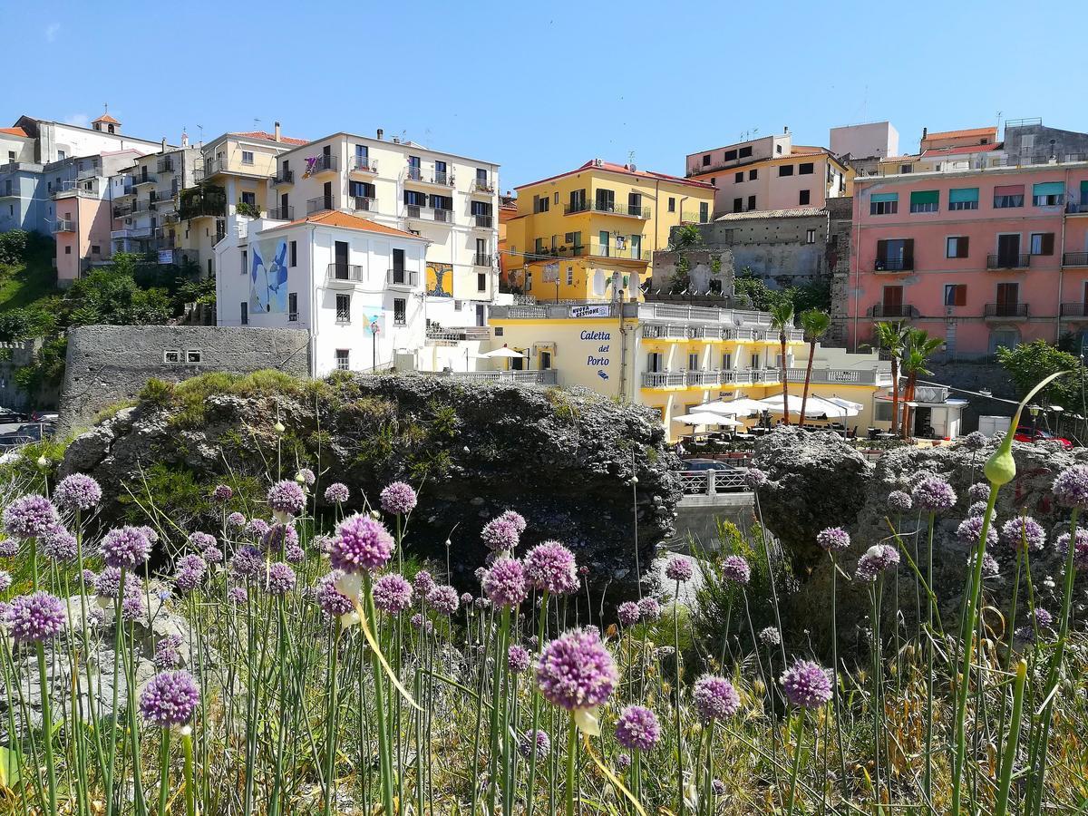 디아망테 Caletta Del Porto B&B 외부 사진